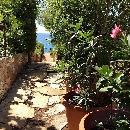 Apartman Family Friendly Seaside Prizba, Korcula - 14597 Prižba